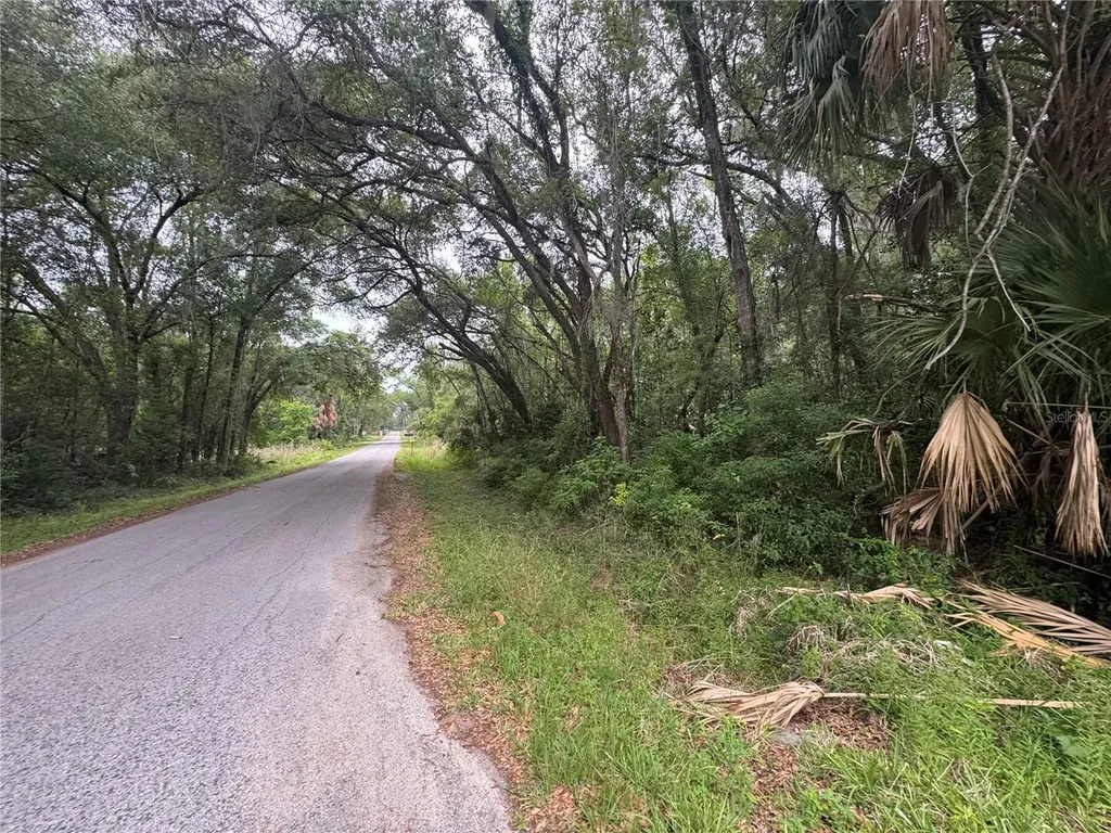 874 N Savary Avenue Inverness FL 34453
