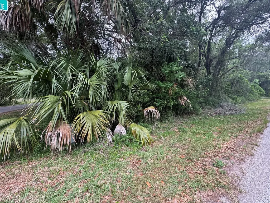 874 N Savary Avenue Inverness FL 34453