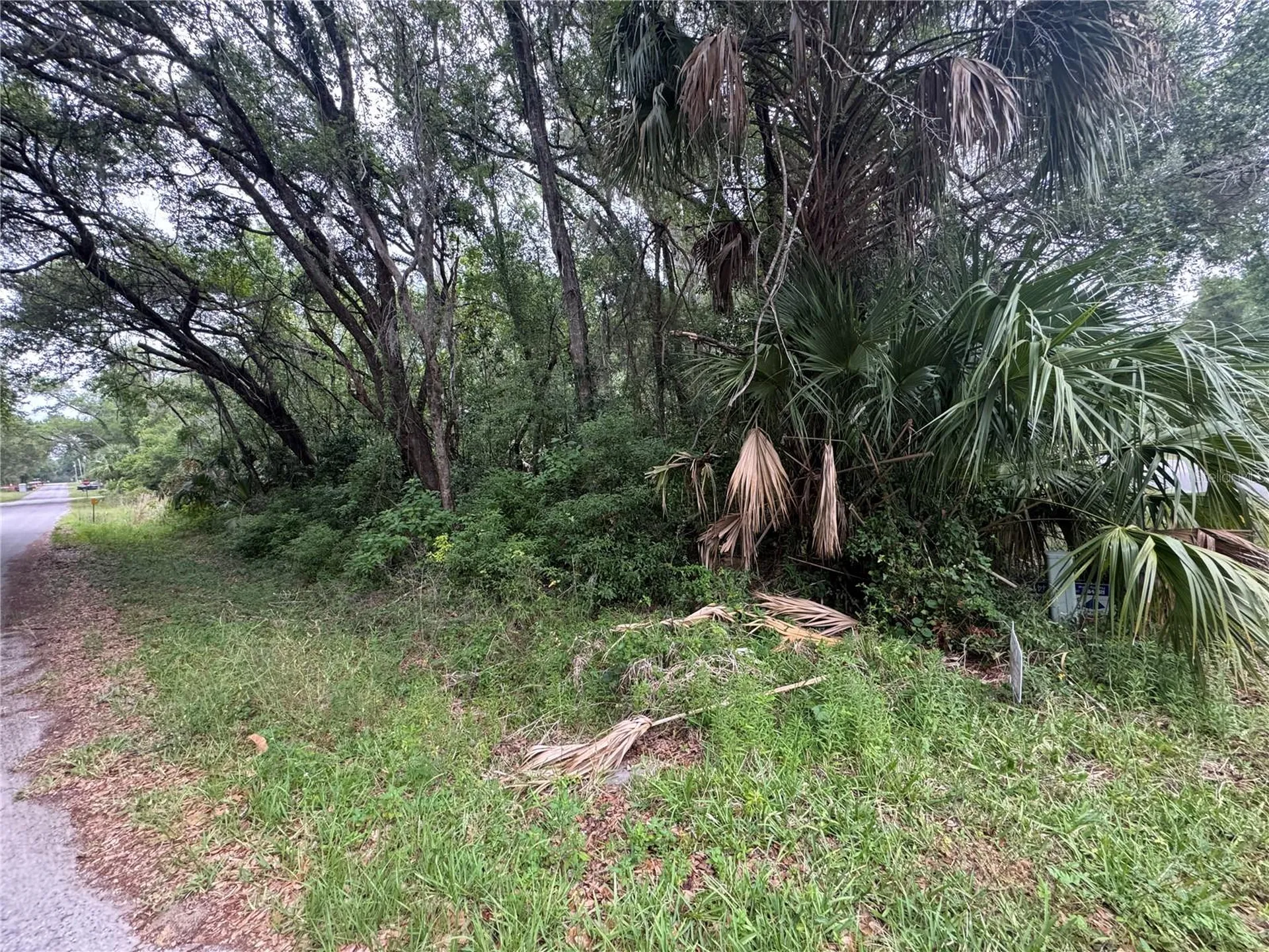 874 N Savary Avenue Inverness FL 34453