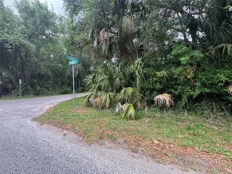 874 N Savary Avenue Inverness FL 34453