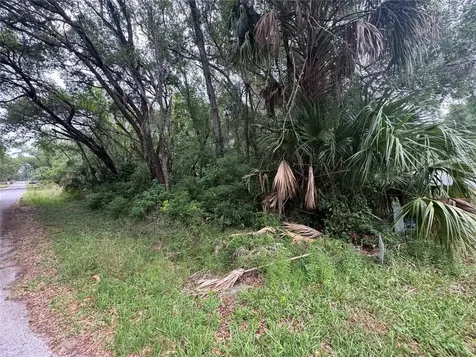 874 N Savary Avenue Inverness FL 34453