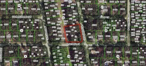 874 N Savary Avenue Inverness FL 34453