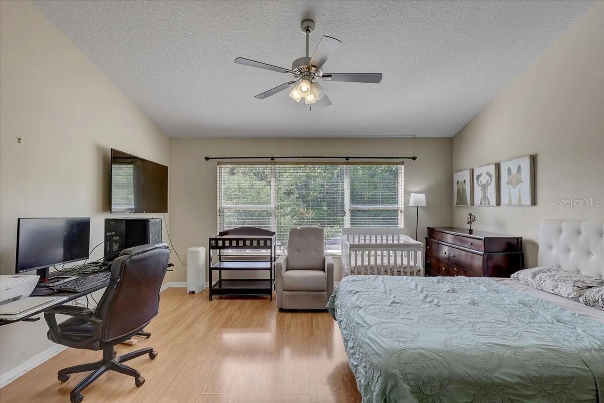 11208 Windsor Place Circle Tampa FL 33626