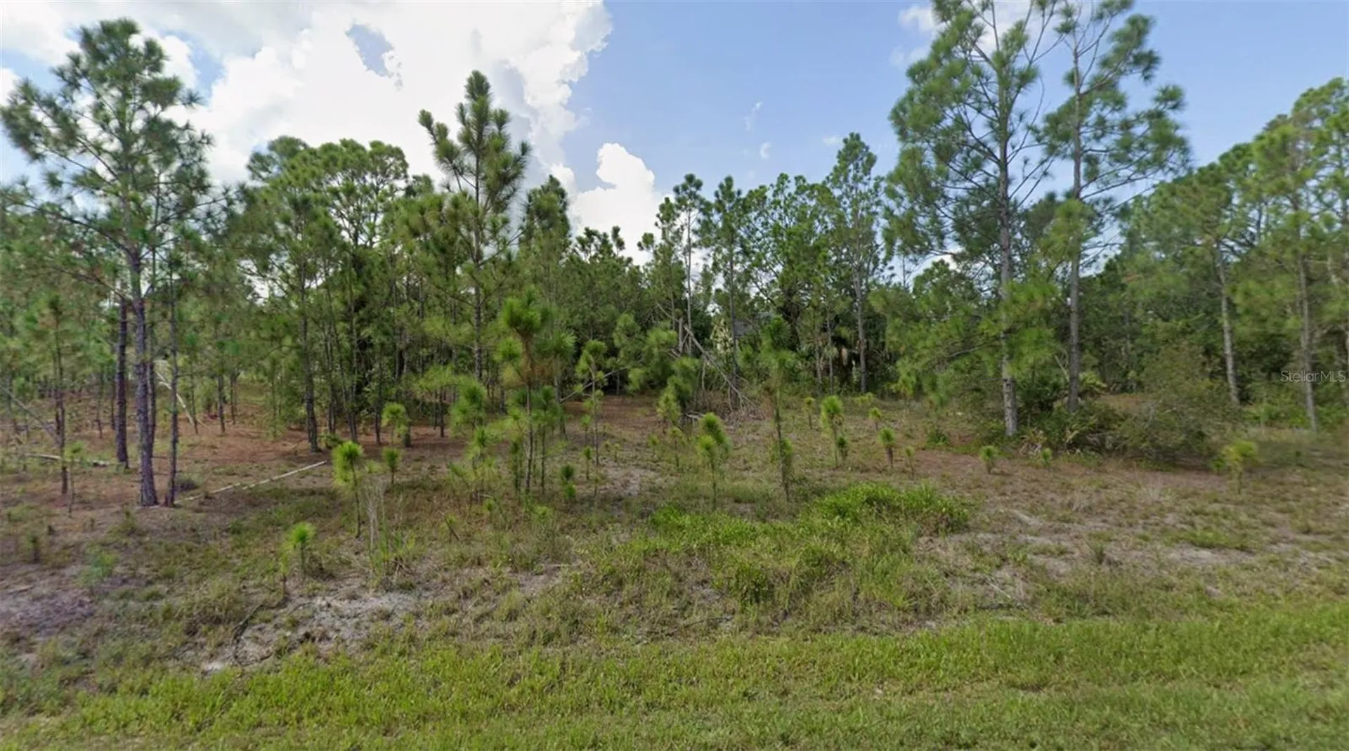 27117 Badger Drive Punta Gorda FL 33955