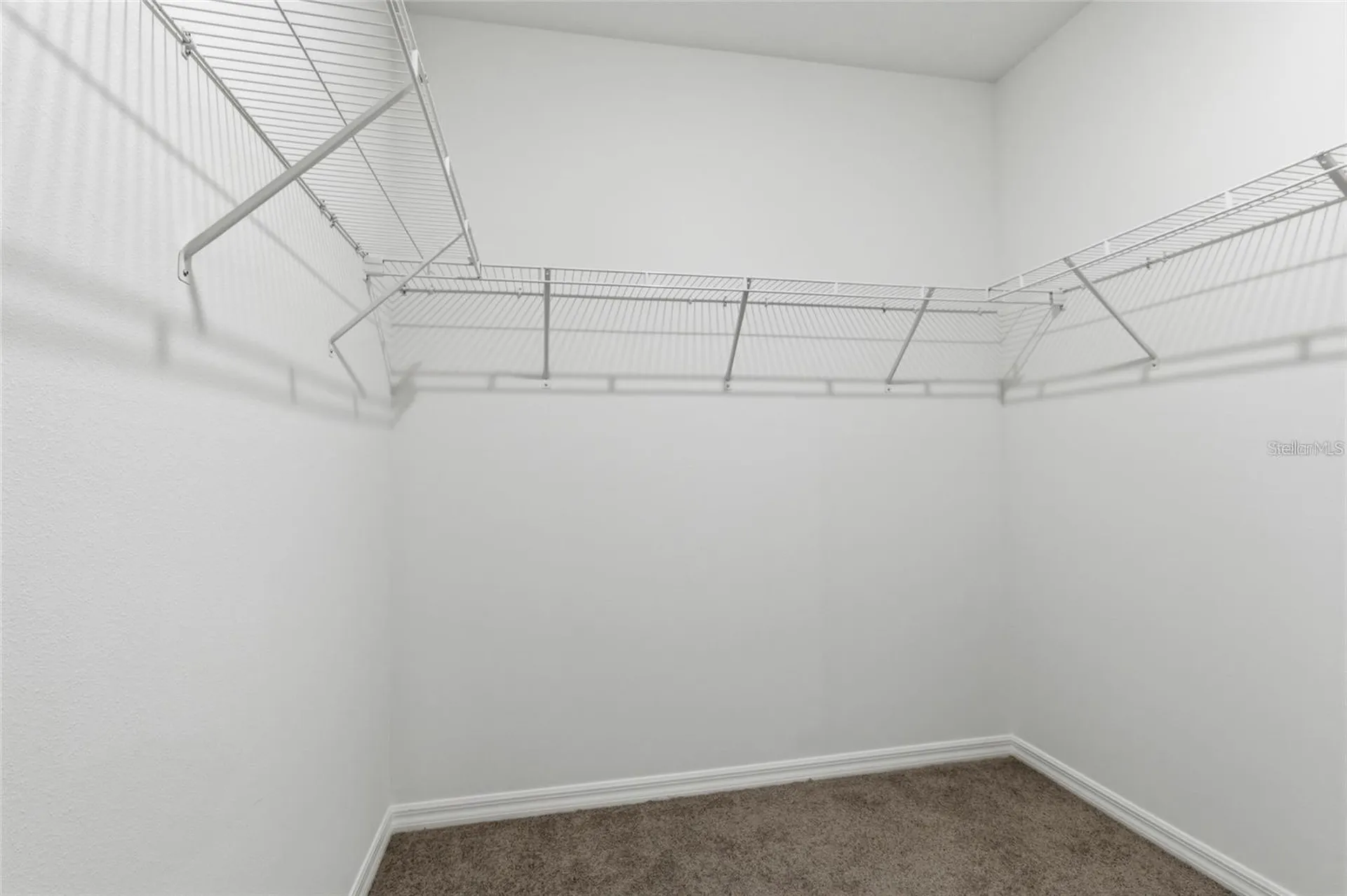 2919 Gardiner Lane Zephyrhills FL 33541