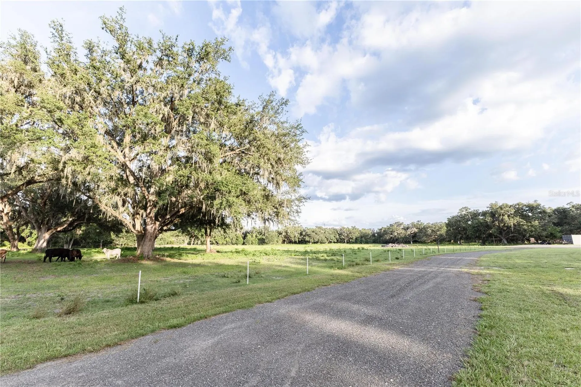 12523 Cr 721 Webster FL 33597