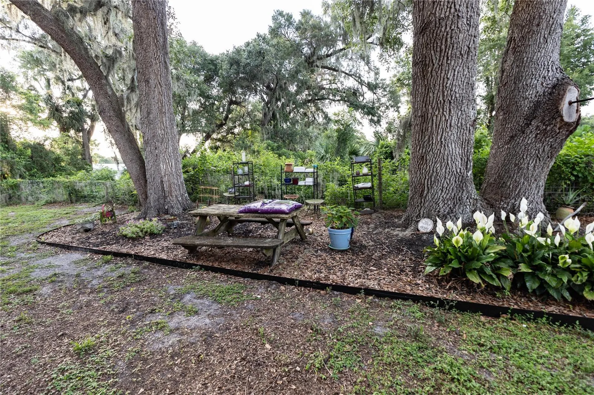 12523 Cr 721 Webster FL 33597
