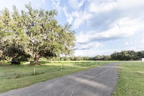 12523 Cr 721 Webster FL 33597