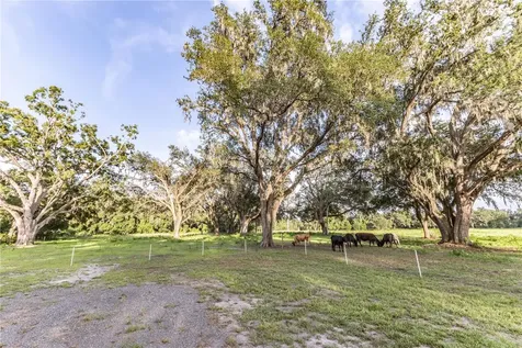 12523 Cr 721 Webster FL 33597