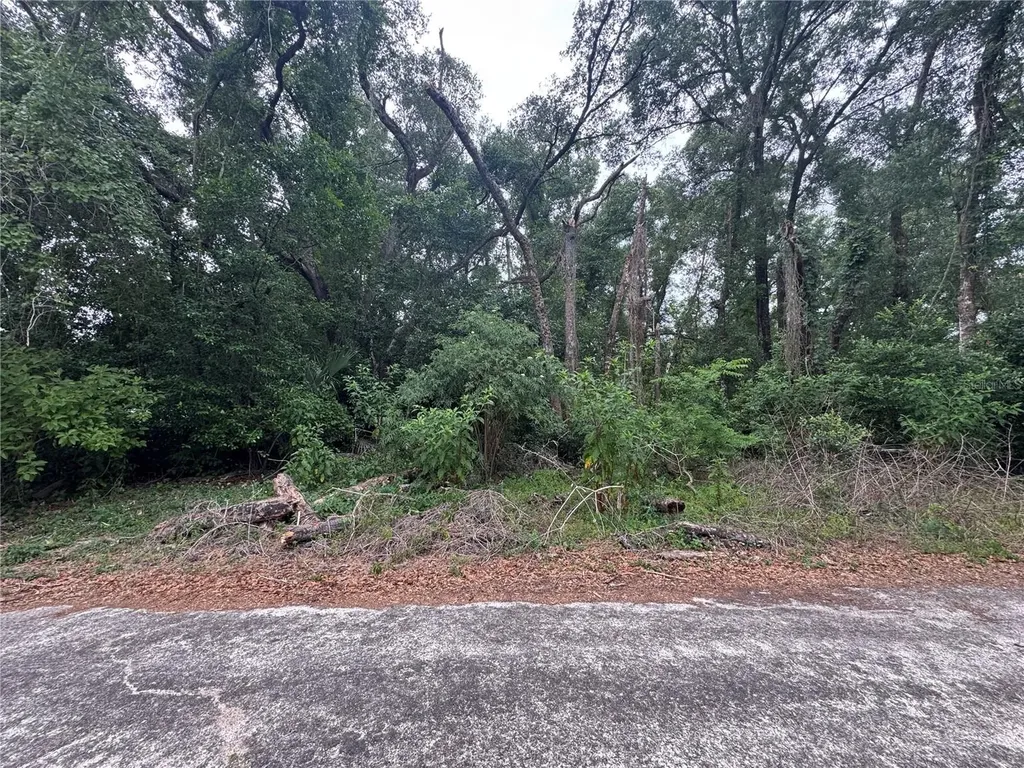 3638 E Lee Drive Inverness FL 34453