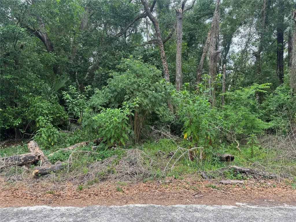 3638 E Lee Drive Inverness FL 34453