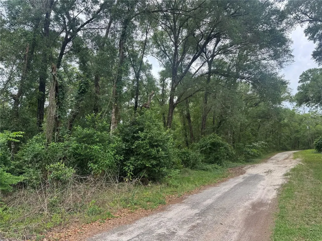 3638 E Lee Drive Inverness FL 34453