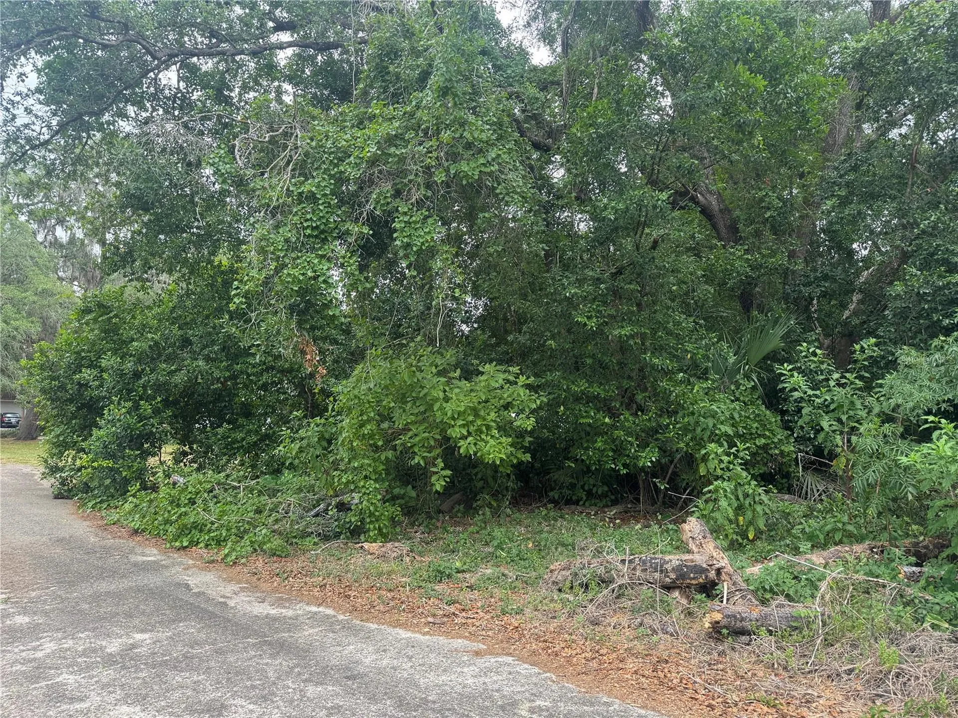 3638 E Lee Drive Inverness FL 34453