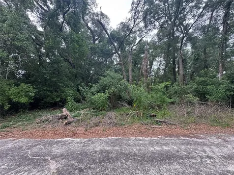 3638 E Lee Drive Inverness FL 34453
