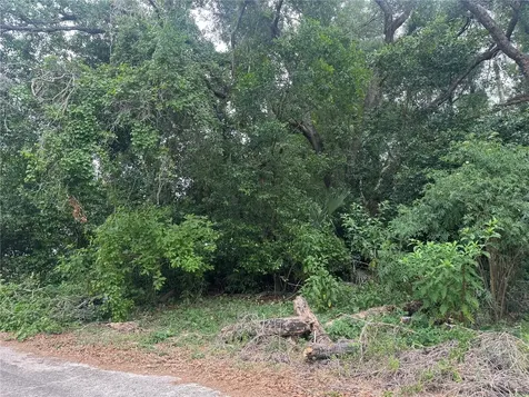 3638 E Lee Drive Inverness FL 34453