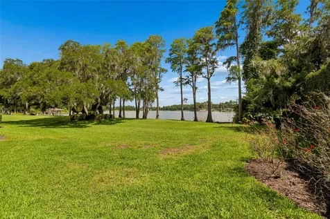 3133 Lake Ellen Drive Tampa FL 33618