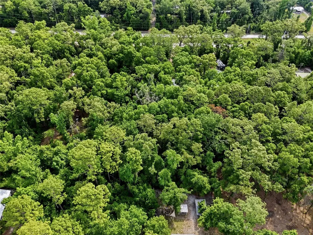 264 SW Central Terrace Fort White FL 32038