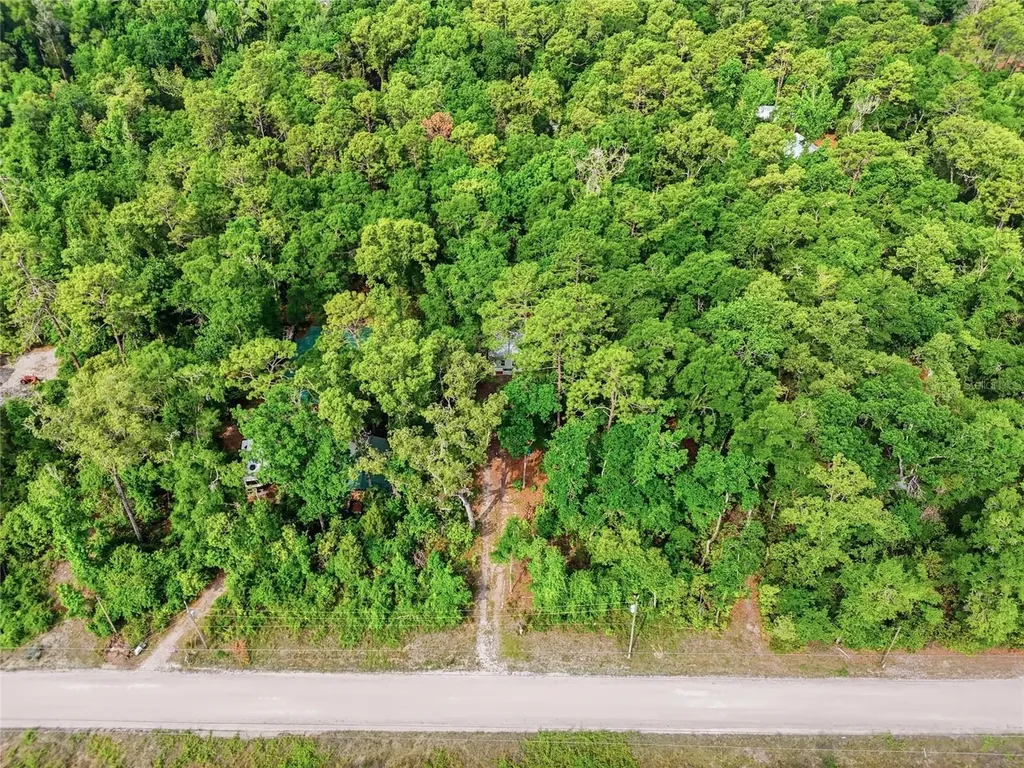264 SW Central Terrace Fort White FL 32038