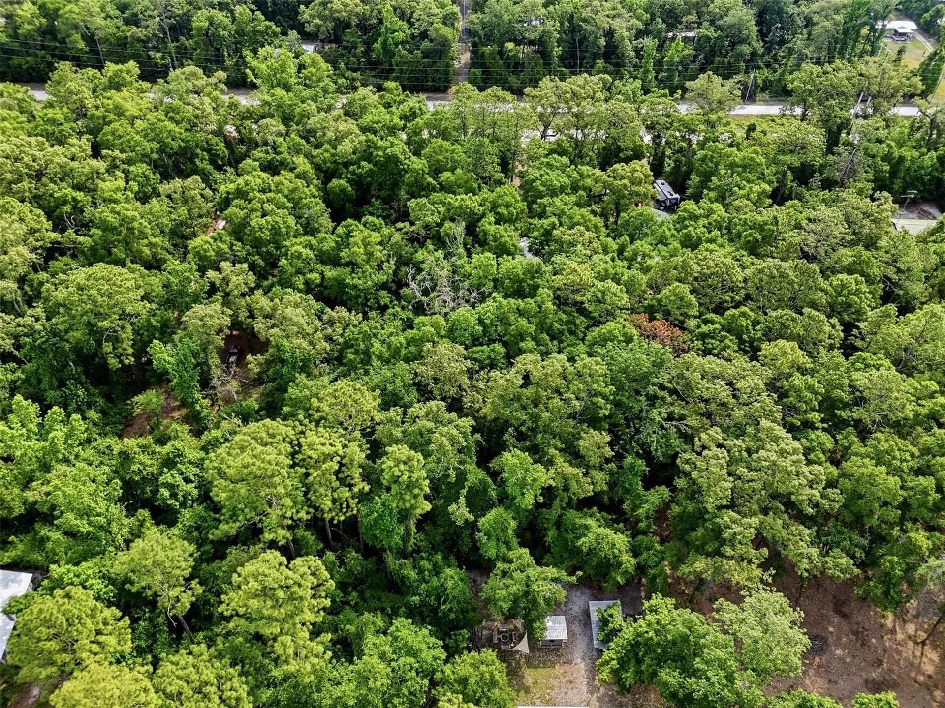 264 SW Central Terrace Fort White FL 32038