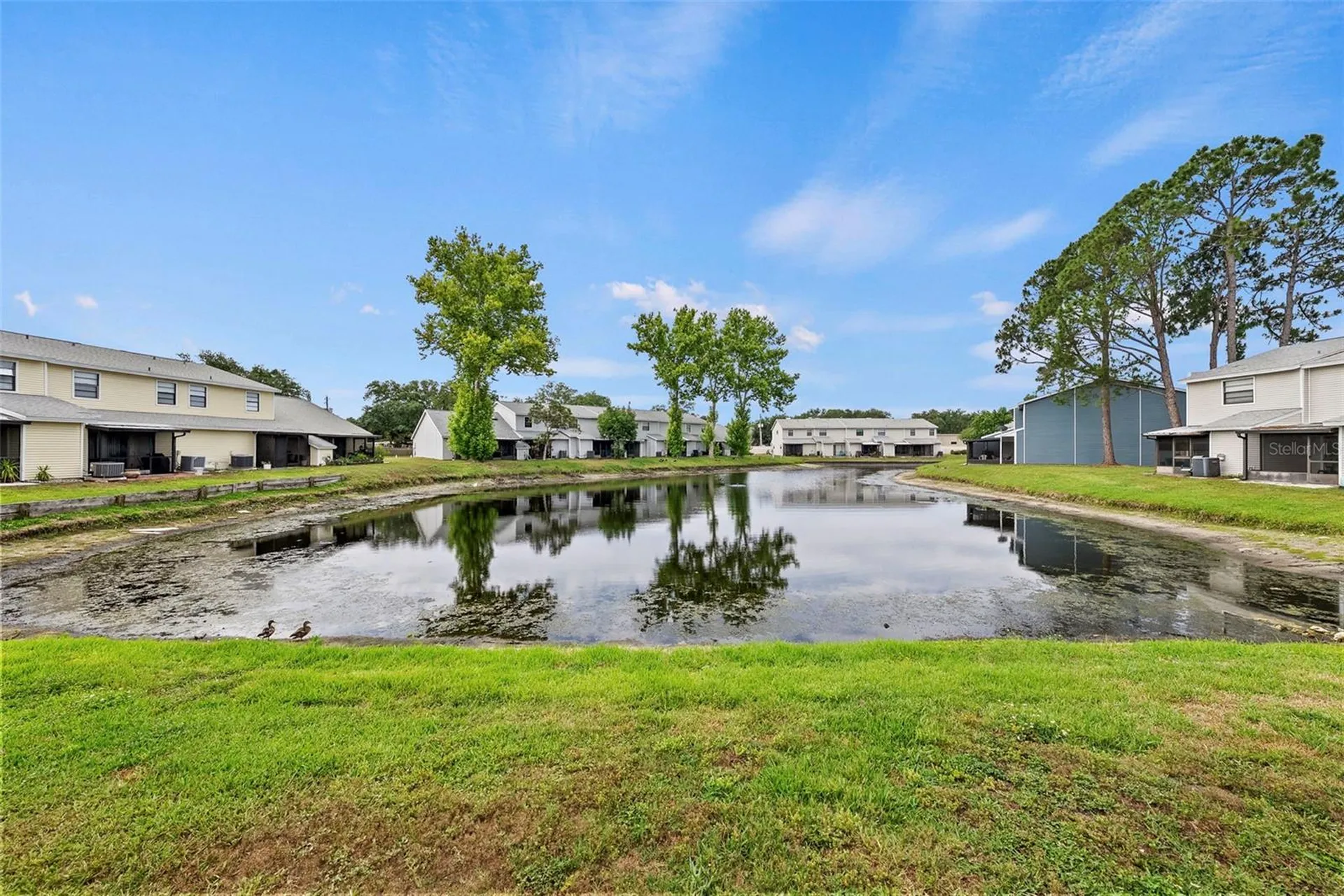 5314 Abinger Court Tampa FL 33624