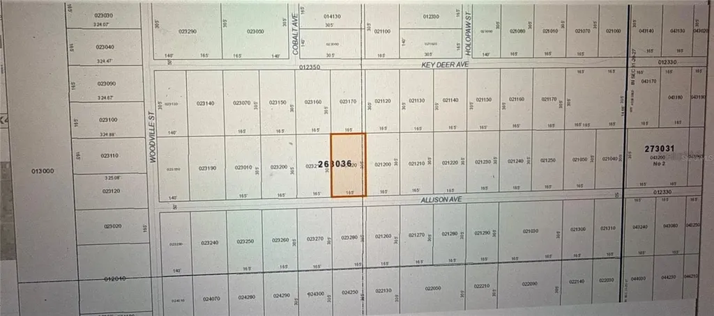 Allison NE Avenue Lake Wales FL 33859