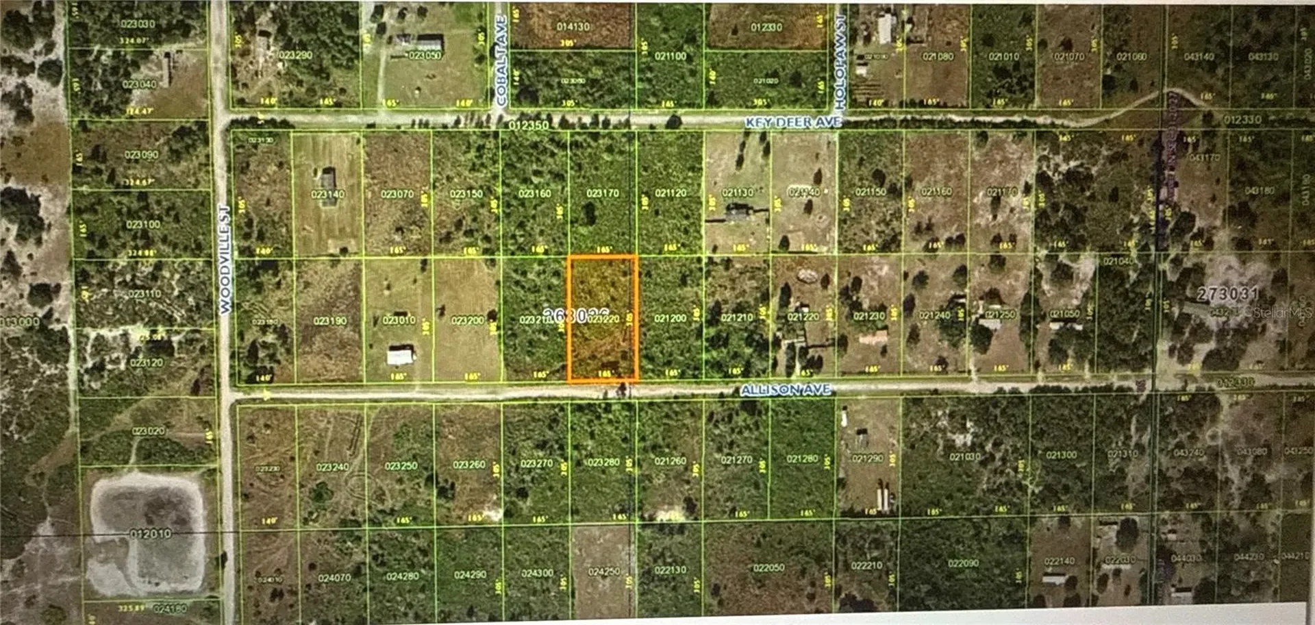 Allison NE Avenue Lake Wales FL 33859