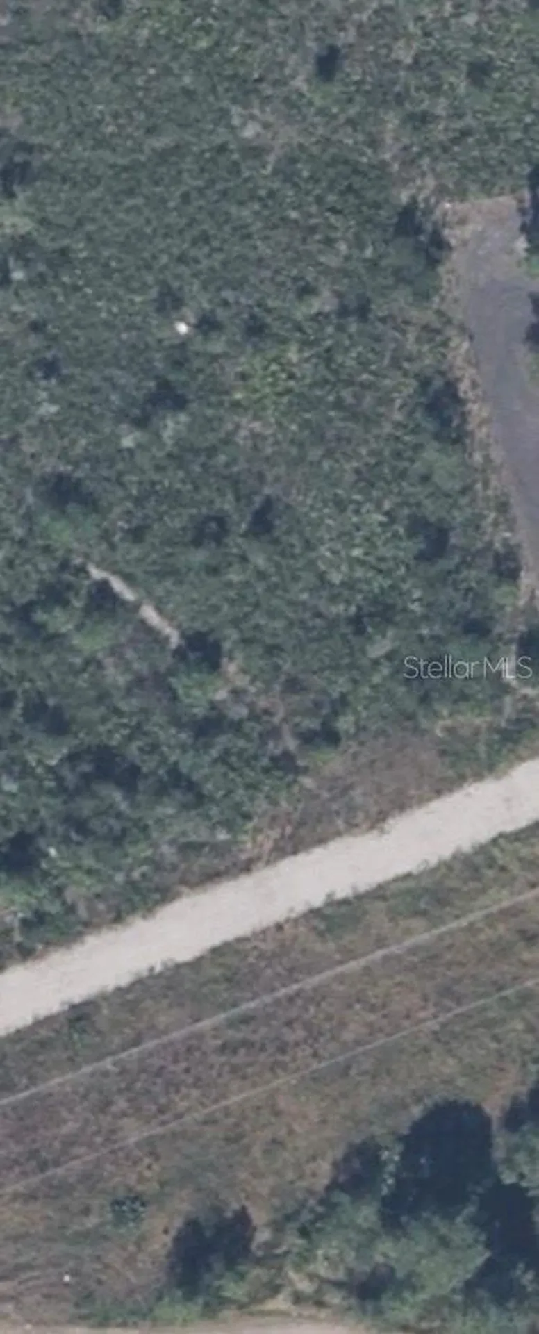 Allison NE Avenue Lake Wales FL 33859