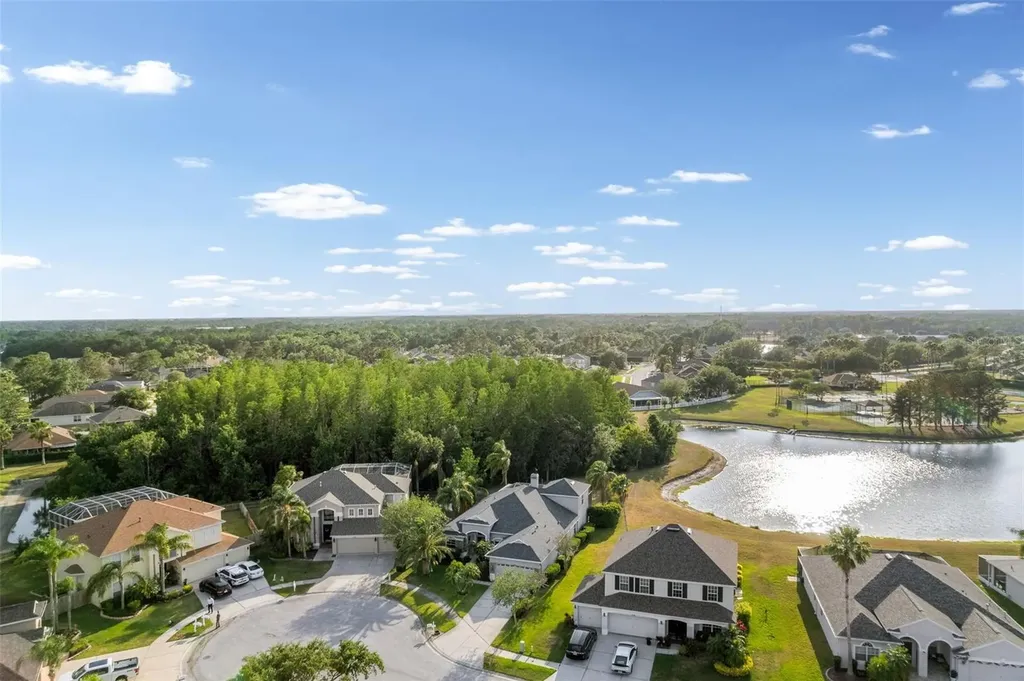 27338 Hollybrook Trail Wesley Chapel FL 33544