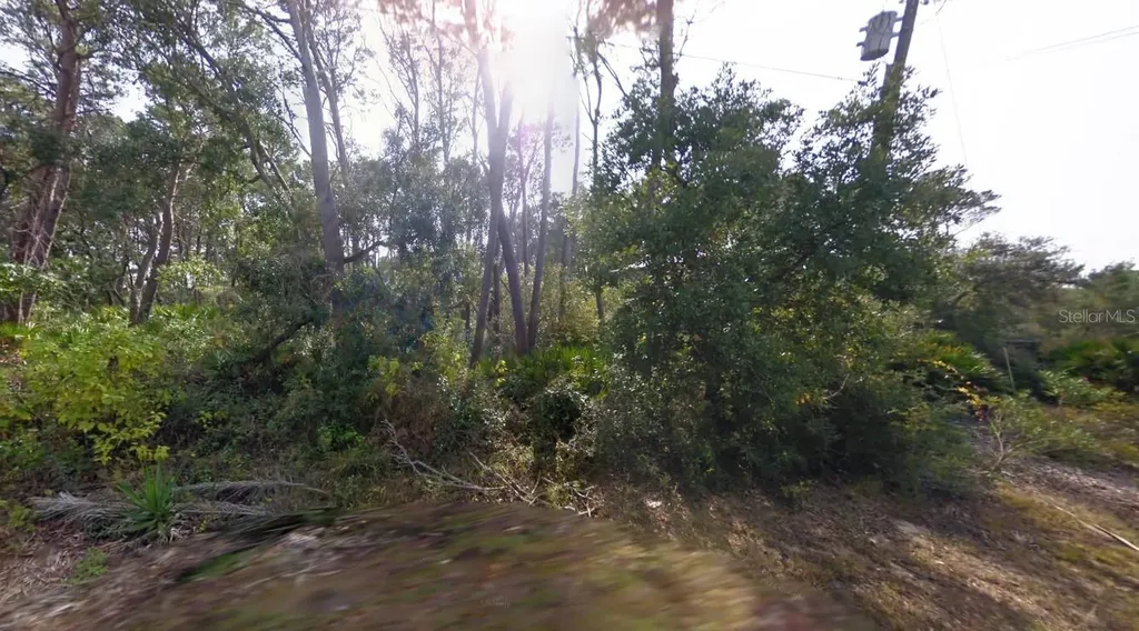 16800 Anna Street Cedar Key FL 32625