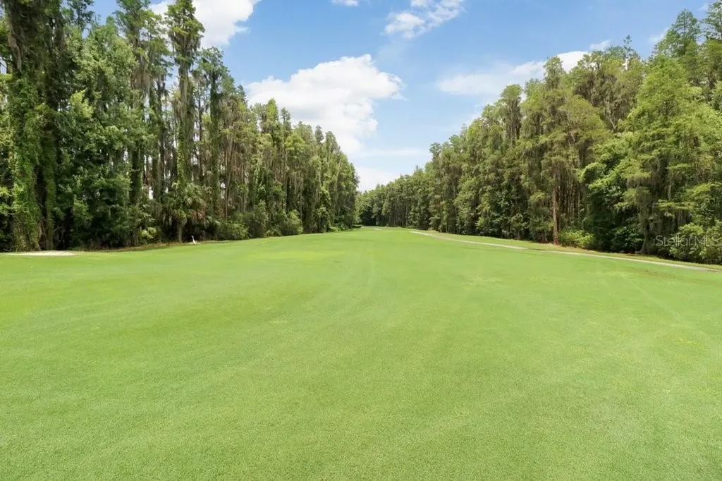 30303 Laurelwood Lane Wesley Chapel FL 33543