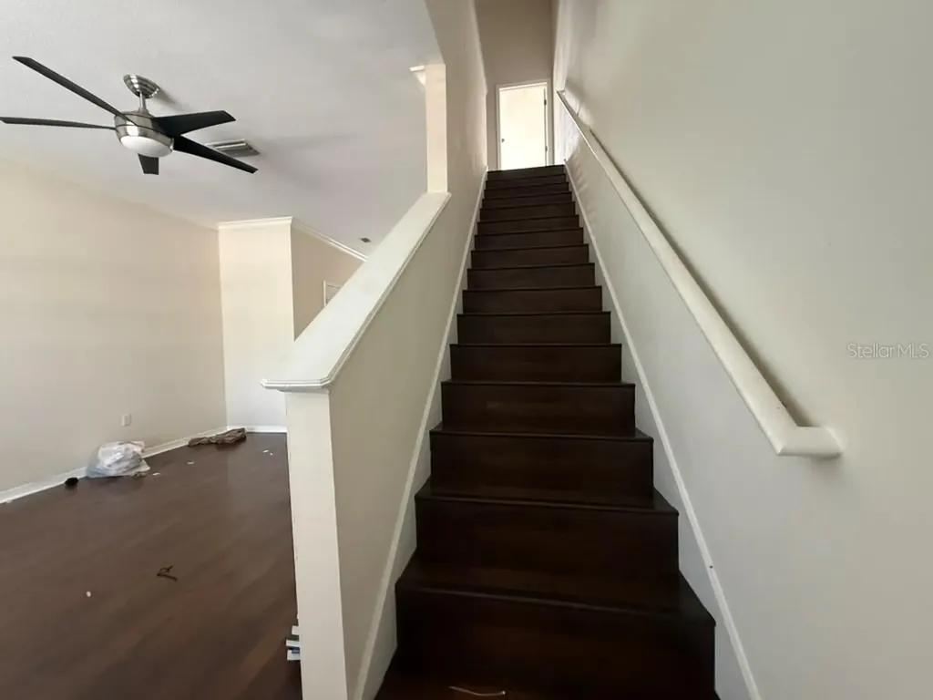 11537 Declaration Drive Tampa FL 33635