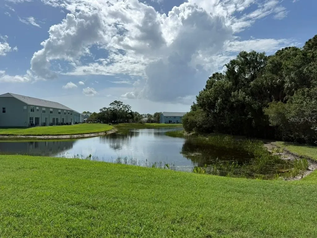 11537 Declaration Drive Tampa FL 33635