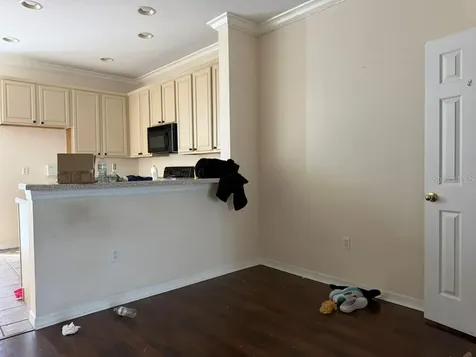 11537 Declaration Drive Tampa FL 33635