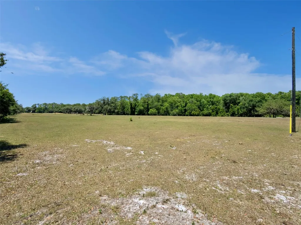 Blue Jay Way Davenport FL 33896