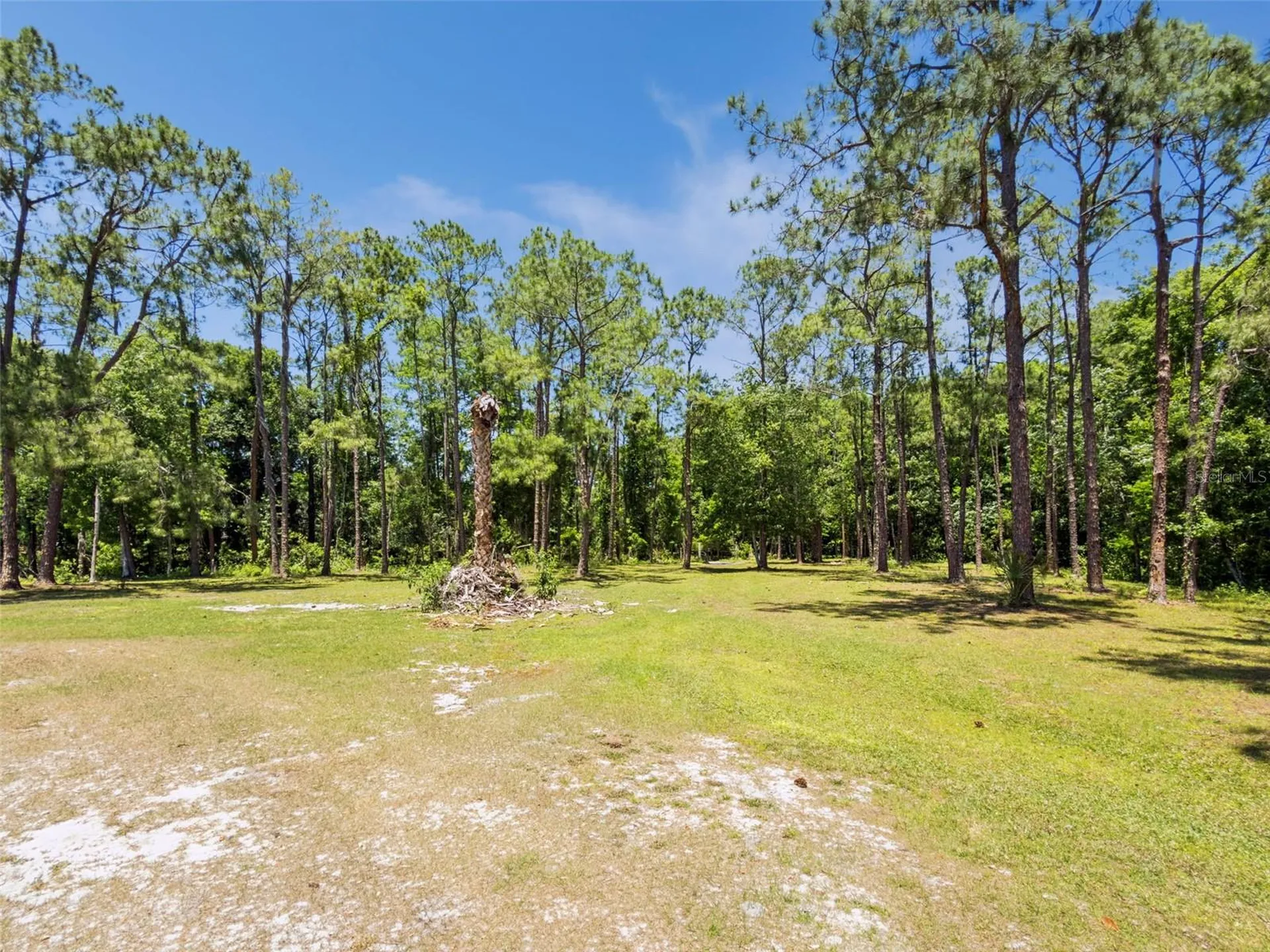 Blue Jay Way Davenport FL 33896