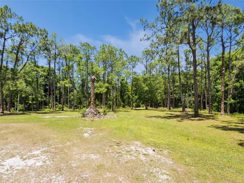Blue Jay Way Davenport FL 33896