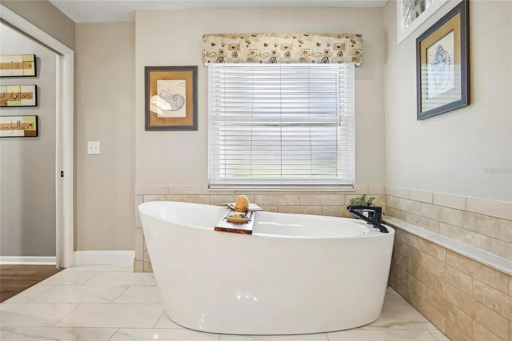 2754 Buckhorn Oaks Drive Valrico FL 33594