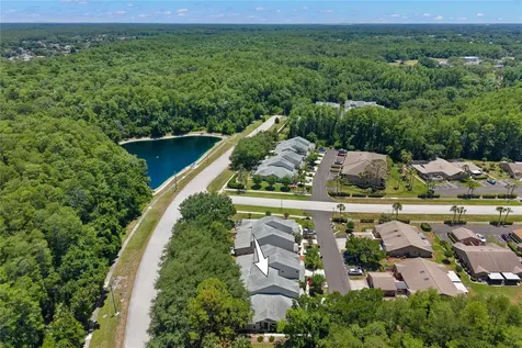 1623 Morning Dove Lane Tarpon Springs FL 34688