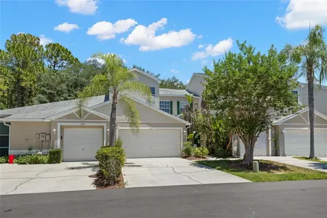 1623 Morning Dove Lane Tarpon Springs FL 34688