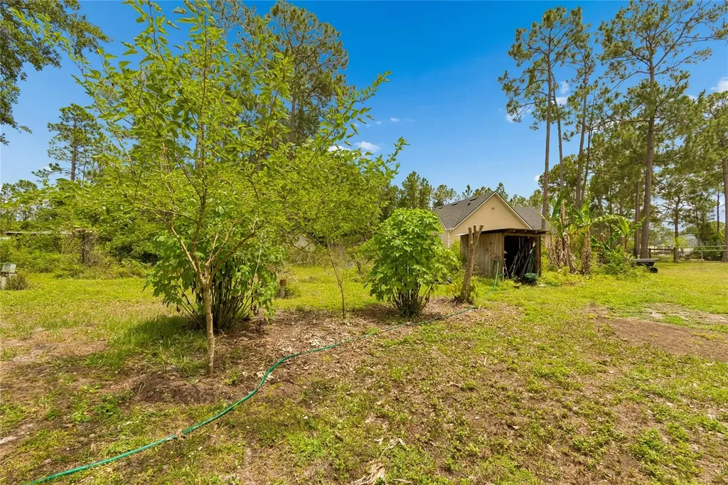 1925 Mustang Court St Cloud FL 34771