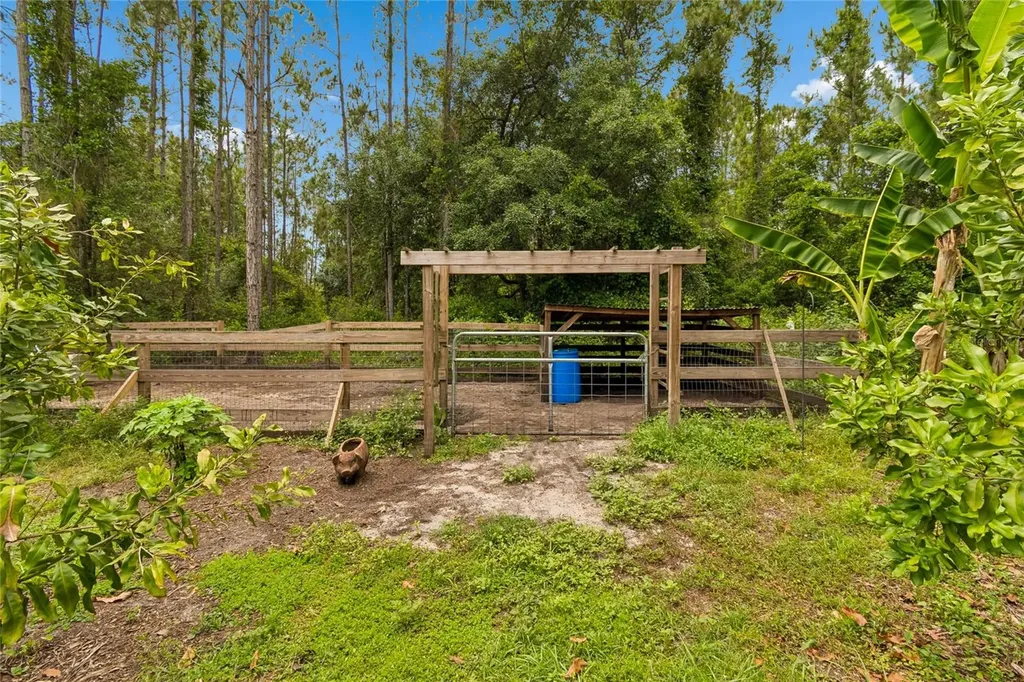 1925 Mustang Court St Cloud FL 34771