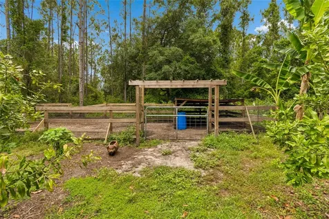 1925 Mustang Court St Cloud FL 34771