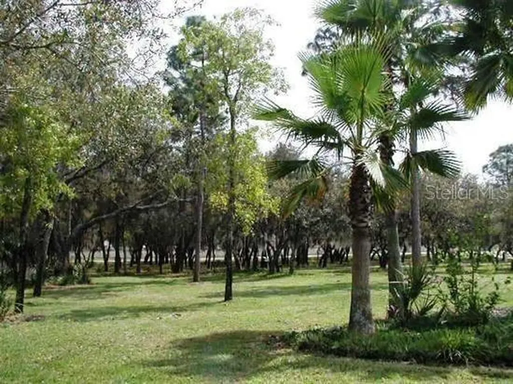 1529 Indian Oaks Trail Kissimmee FL 34747