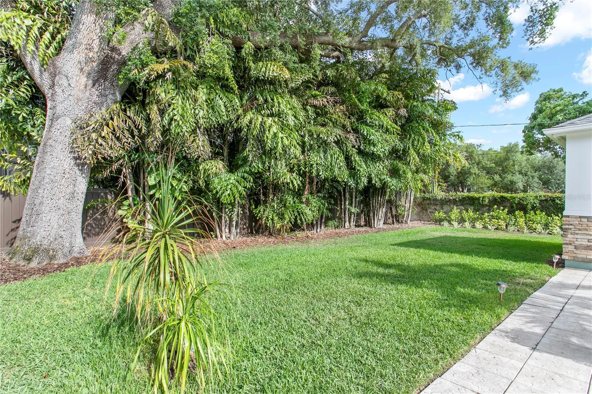 3126 W Oaklyn Avenue Tampa FL 33609