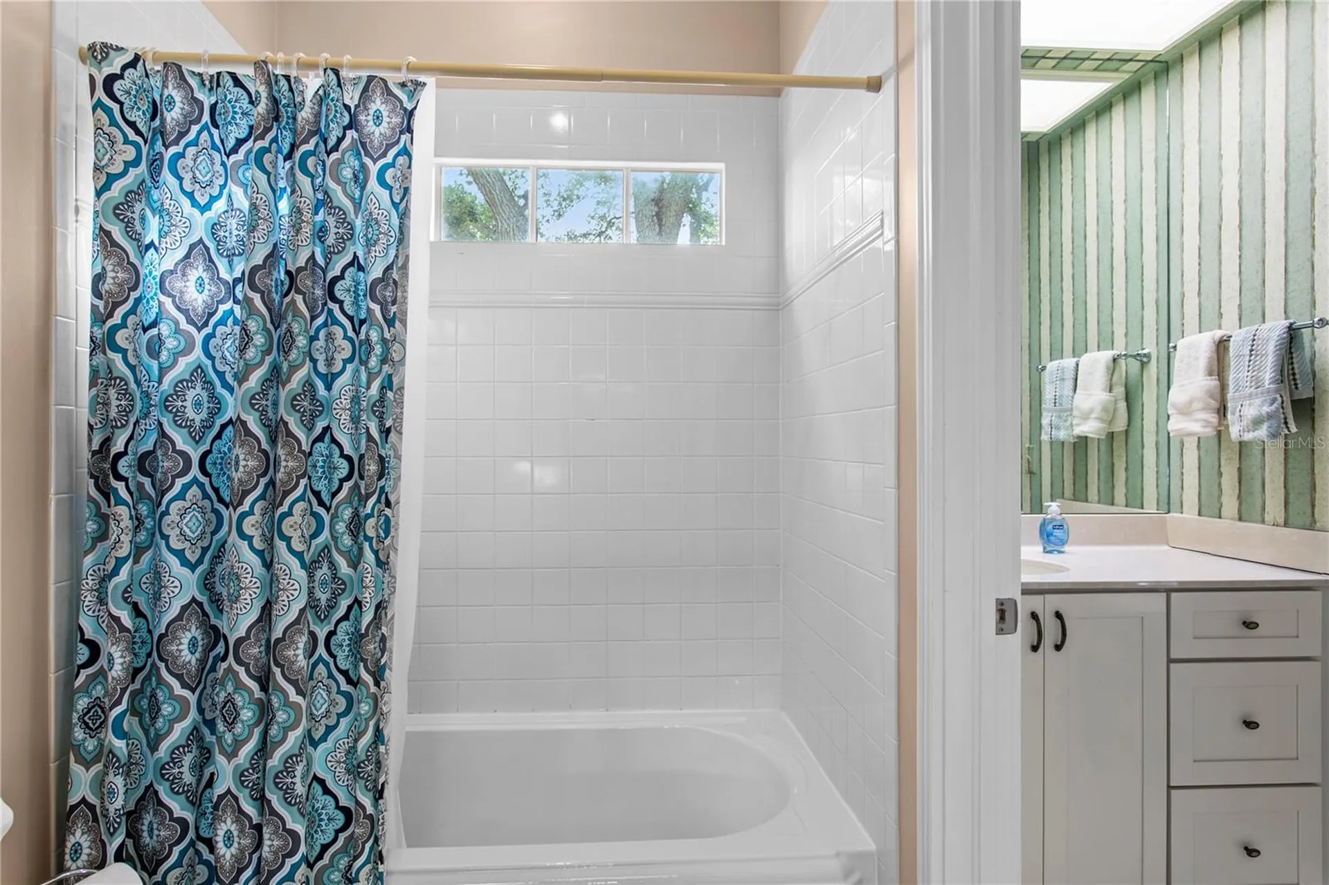 3126 W Oaklyn Avenue Tampa FL 33609