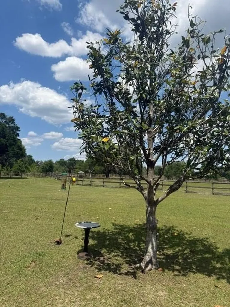 13551 NE 14th Avenue Citra FL 32113