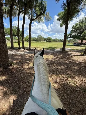 13551 NE 14th Avenue Citra FL 32113