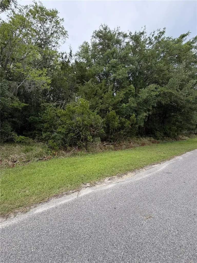 158 E Cracker Swamp Road East Palatka FL 32131