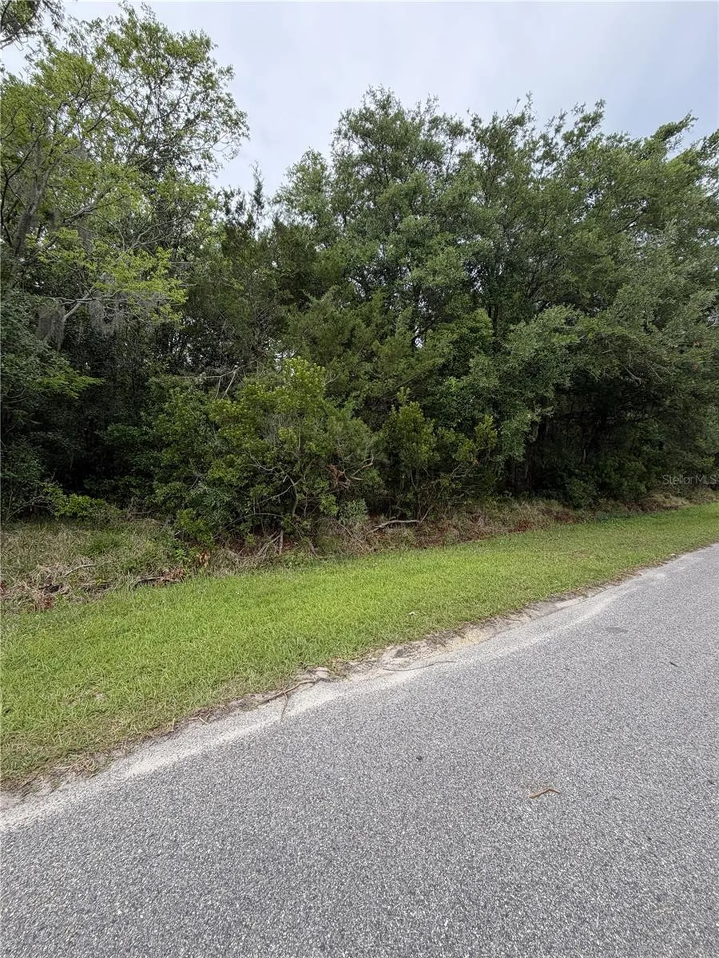 158 E Cracker Swamp Road East Palatka FL 32131