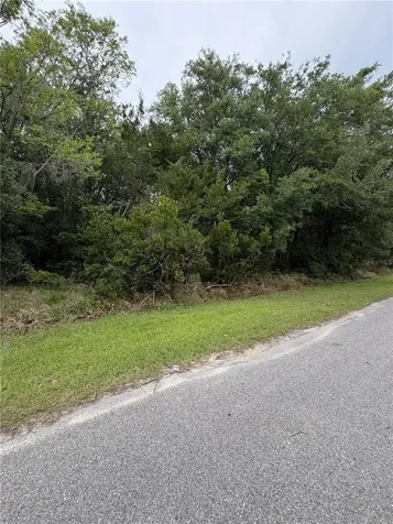 158 E Cracker Swamp Road East Palatka FL 32131